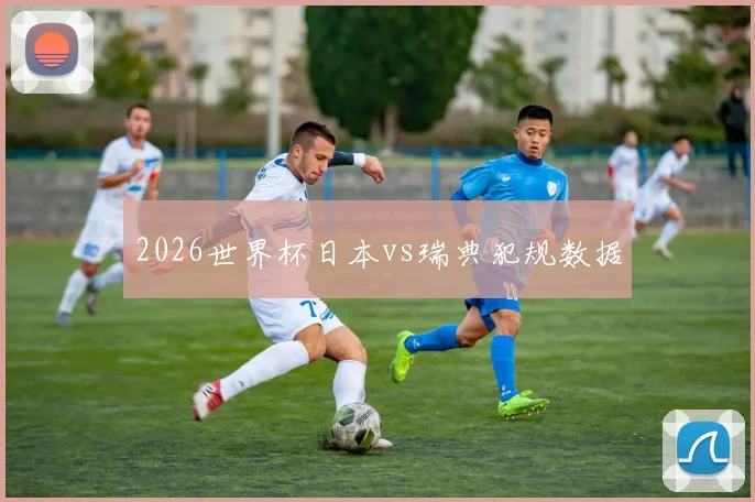 2026世界杯日本vs瑞典犯规数据